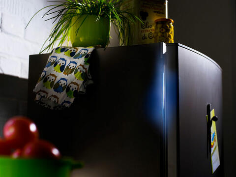 ...ist  ein Lichtspalt zu sehen, dann sollten die Dichtungen des Kühlgerätes erneuert werden. (Quelle: cm photodesign)
