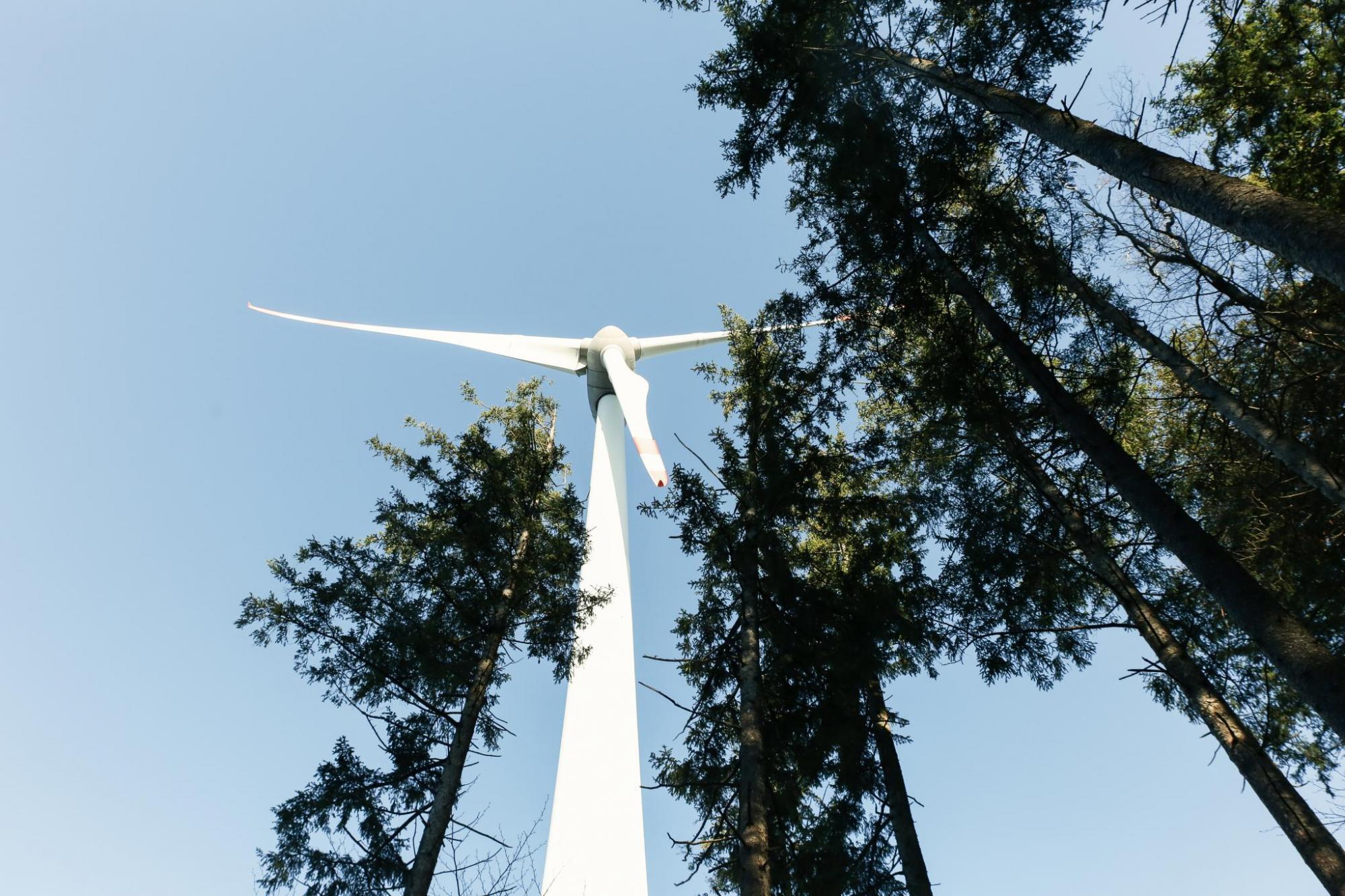 Windrad im Wald von unten fotografiert (Bildquelle: Bayerische Staatsforsten)