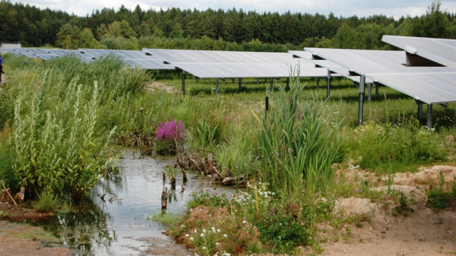 Photovoltaik-Freiflächenanlage mit einem Wassertümpel im Vordergrund.