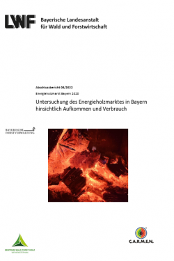Energieholzmarkt