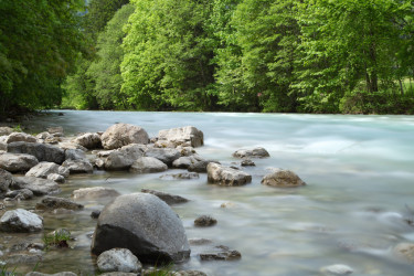Ein Fluss, der durch bewaldetes Ufer mit Steinen fließt. 