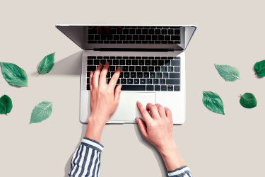 Eine Frau arbeitet am PC. Symbolbild für das Thema nachhaltige Elektronik und Green IT (Bild: Tierney - stock.adobe.com).