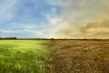 Erwärmung des Bodenklimas (Bildquelle: Leo Lintang / PantherMedia)