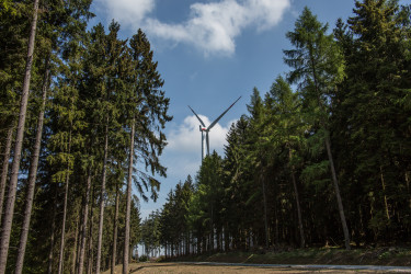 Windenergieanlage im Wald (Bildquelle: dr.lange.unitybox.de / PantherMedia )