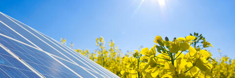 Photovoltaikmodul, Rapsfeld und Sonne. (Quelle: Simon Kraus - Fotolia.com) Photovoltaikmodul, Rapsfeld und Sonne. (Quelle: Simon Kraus - Fotolia.com)