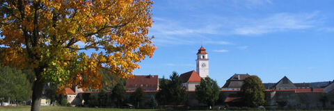 Ortsansicht von Dollnstein mit mittelalterlicher Ringmauer und historischen Gebäuden. (Quelle: Energie-Atlas Bayern) Ortsansicht von Dollnstein mit mittelalterlicher Ringmauer und historischen Gebäuden. (Quelle: Energie-Atlas Bayern)
