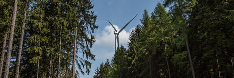 Windenergieanlage im Wald (Bildquelle: dr.lange.unitybox.de / PantherMedia )