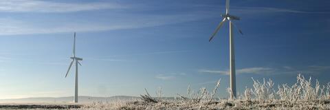 Windräder im Winter (Bildquelle: Sven Steinbruck / PantherMedia) Windräder im Winter (Bildquelle: Sven Steinbruck / PantherMedia)
