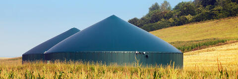Biogasanalgen in Maisfeld. (Quelle: Ingo Bartussek - Fotolia.com) Biogasanalgen in Maisfeld. (Quelle: Ingo Bartussek - Fotolia.com)