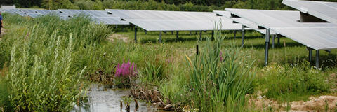 Photovoltaik-Freiflächenanlage mit einem Wassertümpel im Vordergrund. (Quelle: Bayerisches Landesamt für Umwelt) Photovoltaik-Freiflächenanlage mit einem Wassertümpel im Vordergrund. (Quelle: Bayerisches Landesamt für Umwelt)