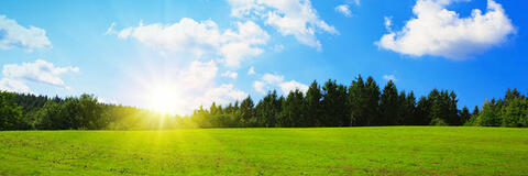 Sonnenaufgang vor Wald und Wiese. (Quelle: Swetlana Wall - Fotolia.com) Sonnenaufgang vor Wald und Wiese. (Quelle: Swetlana Wall - Fotolia.com)