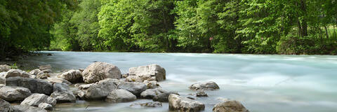 Ein Fluss, der durch bewaldetes Ufer mit Steinen fließt. (Quelle: Bernd S. - Fotolia.com) Ein Fluss, der durch bewaldetes Ufer mit Steinen fließt. (Quelle: Bernd S. - Fotolia.com)