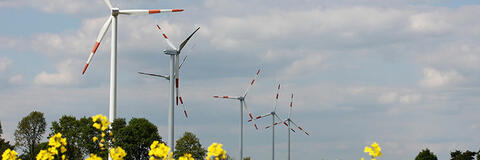 Mehrere Windenergieanlagen vor einem Rapsfeld. (Quelle: Uschi Dreiucker / PIXELIO)