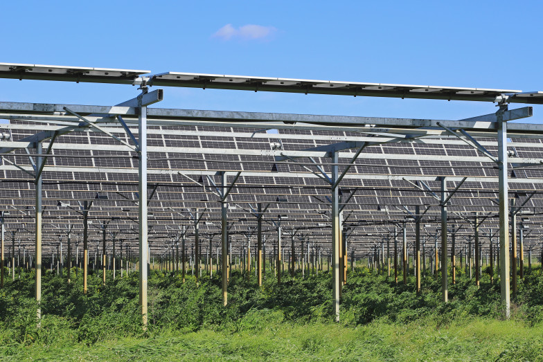 Über einer landwirtschaftlich genutzten Fläche angebrachte PV-Anlage (Bildquelle illustrez-vous - stock.adobe.com) Über einer landwirtschaftlich genutzten Fläche angebrachte PV-Anlage (Bildquelle illustrez-vous - stock.adobe.com)