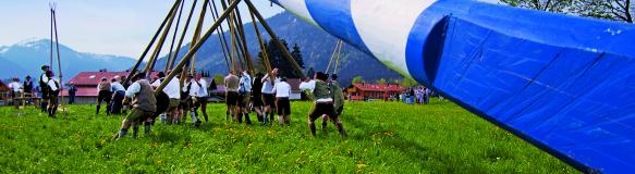 Männer in Tracht stellen gemeinsam einen Maibaum mit Rotorblättern eines Windrades auf (Foto: mein-tegernsee.de)