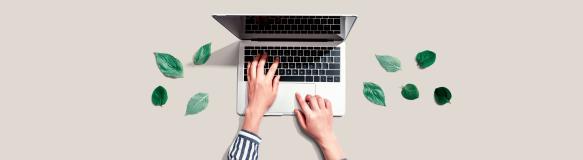 Eine Frau arbeitet am PC. Symbolbild für das Thema nachhaltige Elektronik und Green IT (Bild: Tierney - stock.adobe.com). Eine Frau arbeitet am PC. Symbolbild für das Thema nachhaltige Elektronik und Green IT (Bild: Tierney - stock.adobe.com).