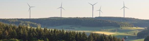Windräder im Wald (Bildquelle: lillusion / PantherMedia) Windräder im Wald (Bildquelle: lillusion / PantherMedia)