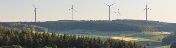 Windräder im Wald (Bildquelle: lillusion / PantherMedia)