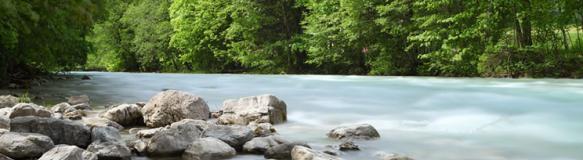 Ein Fluss, der durch bewaldetes Ufer mit Steinen fließt. (Quelle: Bernd S. - Fotolia.com) Ein Fluss, der durch bewaldetes Ufer mit Steinen fließt. (Quelle: Bernd S. - Fotolia.com)