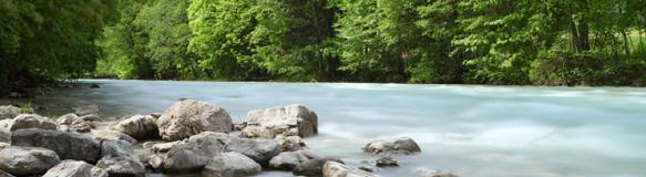 Ein Fluss, der durch bewaldetes Ufer mit Steinen fließt. (Quelle: Bernd S. - Fotolia.com)
