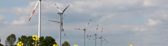 Mehrere Windenergieanlagen vor einem Rapsfeld. (Quelle: Uschi Dreiucker / PIXELIO) Mehrere Windenergieanlagen vor einem Rapsfeld. (Quelle: Uschi Dreiucker / PIXELIO)