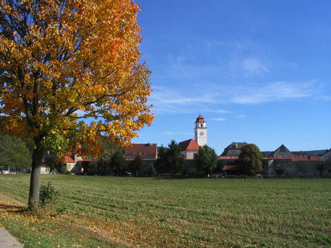 Ortsansicht von Dollnstein mit mittelalterlicher Ringmauer und historischen Gebäuden. (Quelle: Energie-Atlas Bayern)