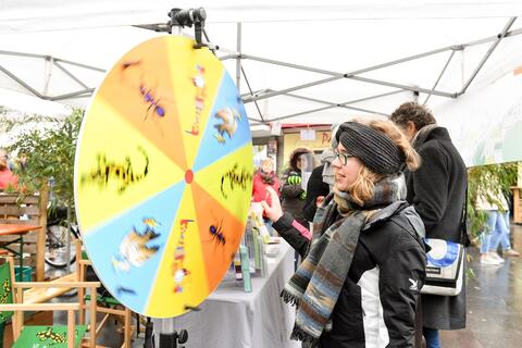 Vor dem Gewinn kommt der richtige Dreh. Stadt Würzburg - Stand (Quelle: Tobias Hase)