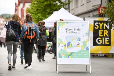 Fotowettbewerb - Mitten in der Stadtnatur (Quelle: Tobias Hase)