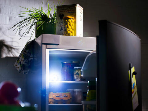 Mit dem Taschenlampentest können Sie herausfinden, ob die Tür des Kühlgerätes dicht ist (Quelle: cm photodesign).