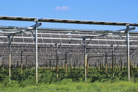 Über einer landwirtschaftlich genutzten Fläche angebrachte PV-Anlage (Bildquelle illustrez-vous - stock.adobe.com) Über einer landwirtschaftlich genutzten Fläche angebrachte PV-Anlage (Bildquelle illustrez-vous - stock.adobe.com)