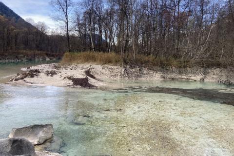 Feinsedimentablagerungen an der Vorsperre Sylvensteinspeicher (Bildquelle: LfU) Feinsedimentablagerungen an der Vorsperre Sylvensteinspeicher (Bildquelle: LfU)