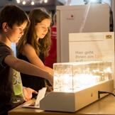 Kinder schauen sich verschiedene Leuchtmittel an - Eindruck von der Ausstellung Energiewende.