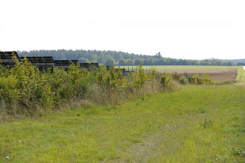 Einbindung von PV in Landschaftsstrukturen: PV-Anlage mit Hecke (Foto: J. Ermisch, LfU)