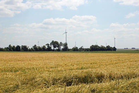 Blick übers Feld auf den Windpark Berching (Quelle: Windpower GmbH)