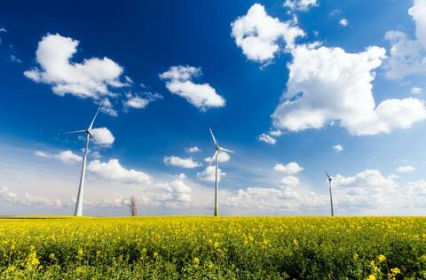Windräder Symbolbild (Quelle: arsdigital - fotolia.com) Windräder Symbolbild