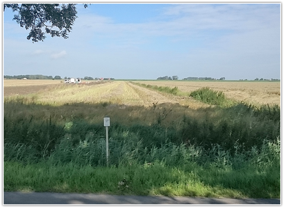 Landwirtschaftliche Nutzung nach der Verlegung von Erdkabeln (Quelle: Tennet)