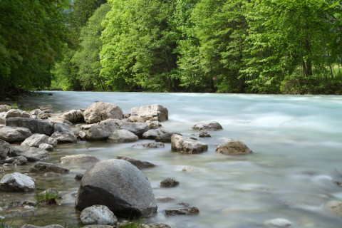 Ein Fluss, der durch bewaldetes Ufer mit Steinen fließt. 