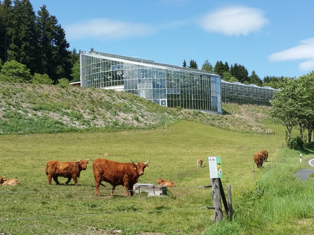 Außenansicht des Tropenhauses (Quelle: Ralf Schmitt).