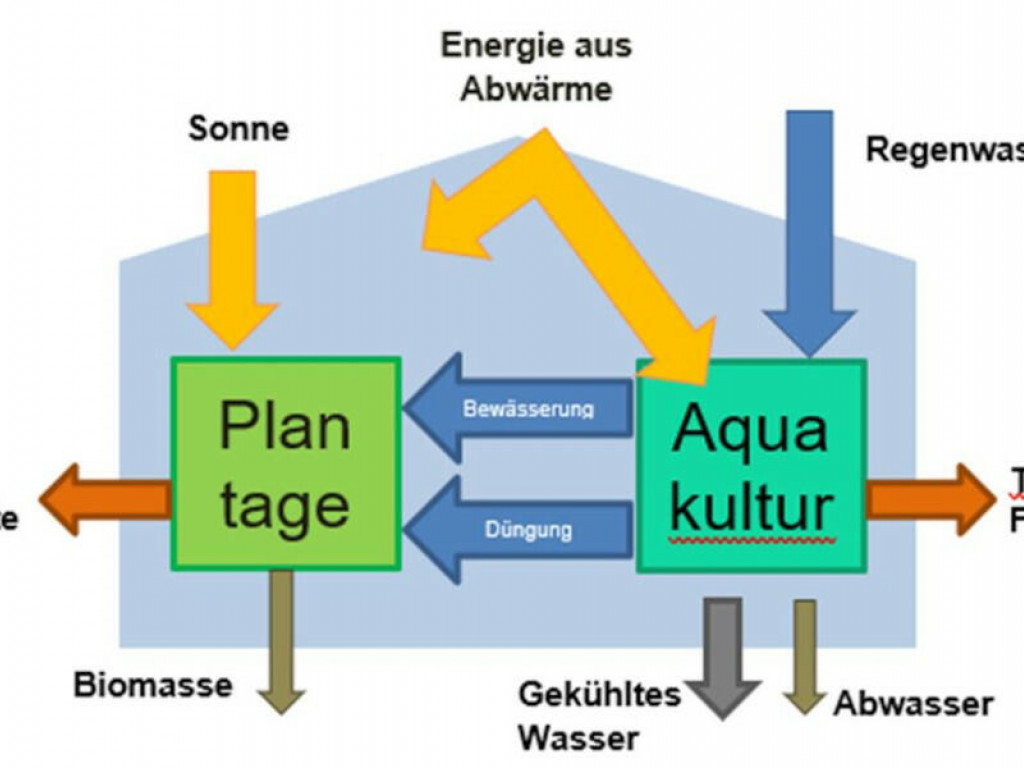 Der Anbau im Tropenhaus erfolgt durch ein Polykultursystem, ein intelligentes Kreislaufsystem (Quelle: Ralf Schmitt).