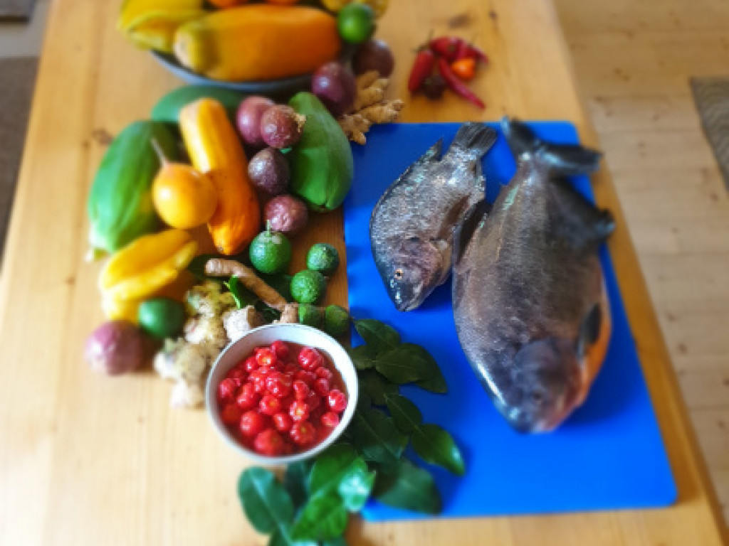 Früchte und Fische, die geerntet wurden (Quelle: Ralf Schmitt).