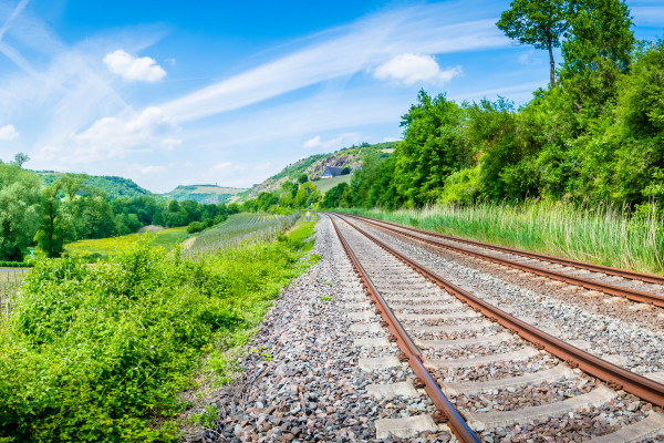 Schienengleise und Autoverkehr umgeben von Natur (Bildquelle: CPN – stock.adobe.com) Schienengleise und Autoverkehr umgeben von Natur