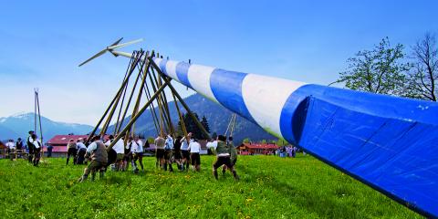 Männer in Tracht stellen gemeinsam einen Maibaum mit Rotorblättern eines Windrades auf (Foto: mein-tegernsee.de)