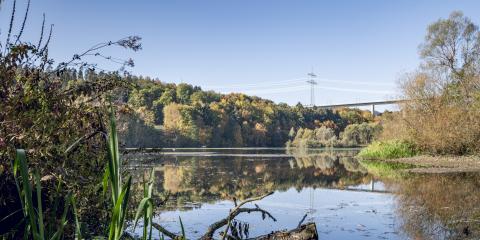 Das Titelbild der Seite Naturschutz zeigt eine Freileitung in der Landschaft, im Vordergrund ist ein Gewässer und viele Bäume und Sträucher zu sehen, im Hintergrund eine Autobahnbrücke (Bildquelle: StMWi).