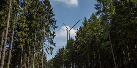 Windenergieanlage im Wald (Bildquelle: dr.lange.unitybox.de / PantherMedia )