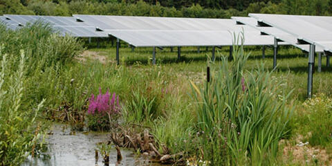 Photovoltaik-Freiflächenanlage mit einem Wassertümpel im Vordergrund. (Quelle: Bayerisches Landesamt für Umwelt)