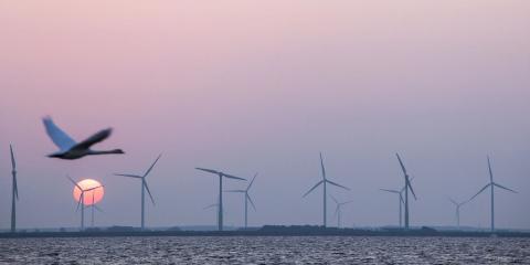 Vogel vor Windrädern © PantherMedia ahavelaar